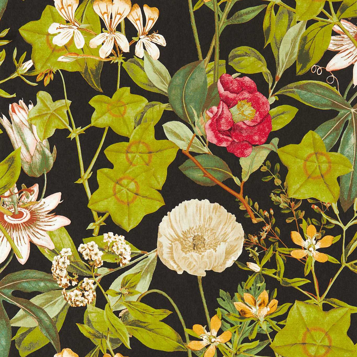 Passiflora Wallpaper - Noir - Clarke & Clarke - W0143/04 - Premier Wallcovering