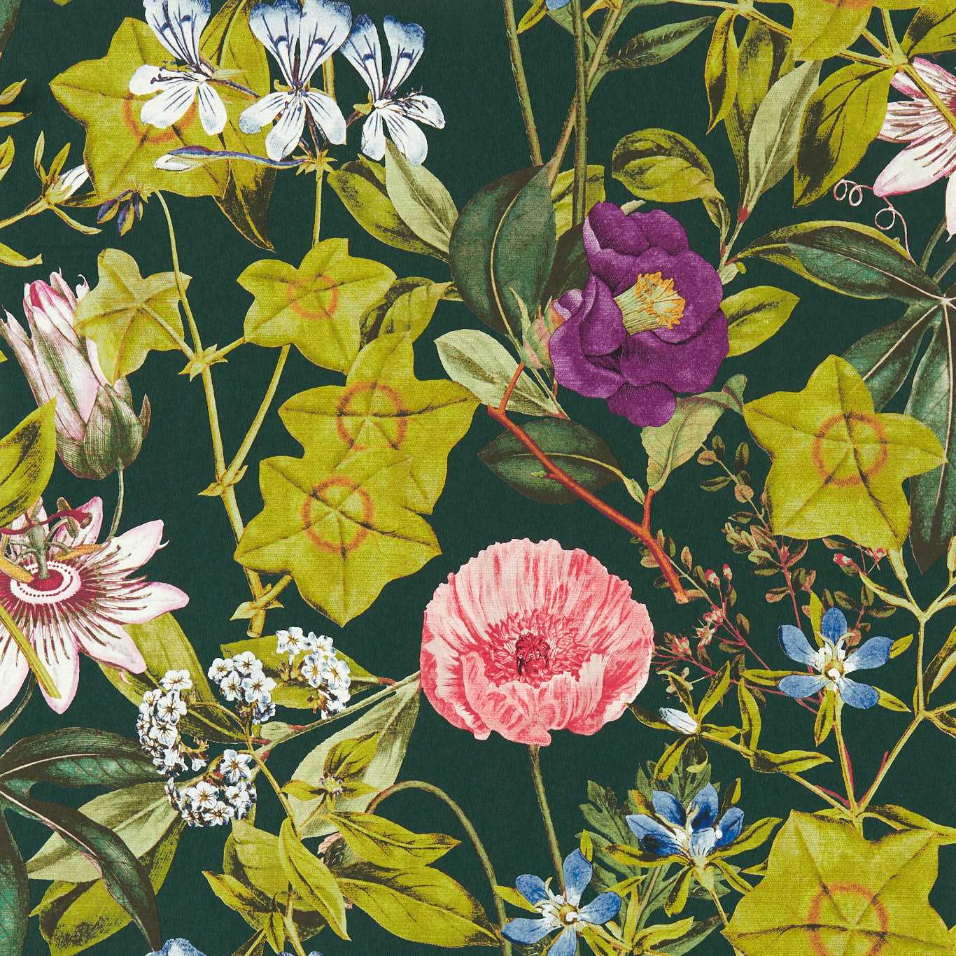 Passiflora Wallpaper - Emerald - Clarke & Clarke - W0143/02 - Premier Wallcovering