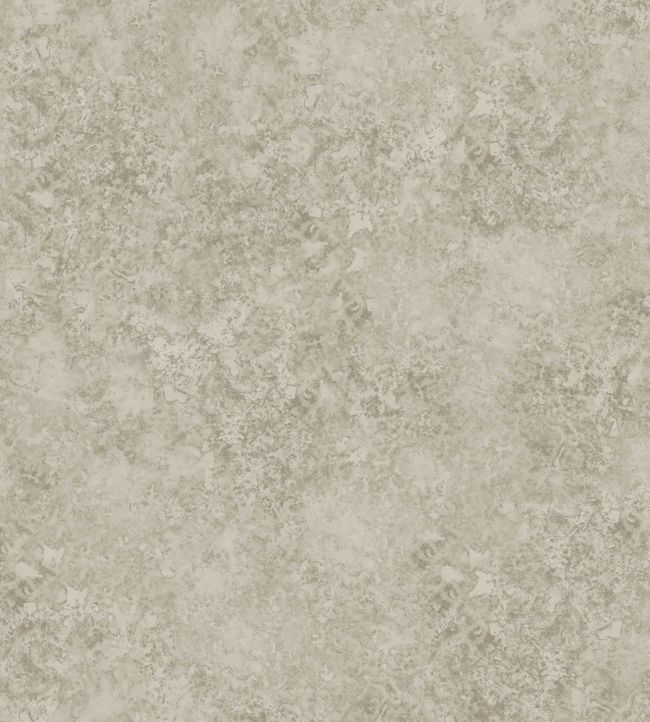 Patina Haze Wallpaper - Warm Metallic Gilver - 113/9026 - Cole & Son - Premier Wallcovering