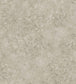 Patina Haze Wallpaper - Warm Metallic Gilver - 113/9026 - Cole & Son - Premier Wallcovering