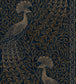 Pavo Parade Wallpaper - Metallic Bronze on Midnight - 116/8030 - Cole & Son - Premier Wallcovering