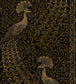 Pavo Parade Wallpaper - Metallic Gold on Soot - 116/8032 - Cole & Son - Premier Wallcovering