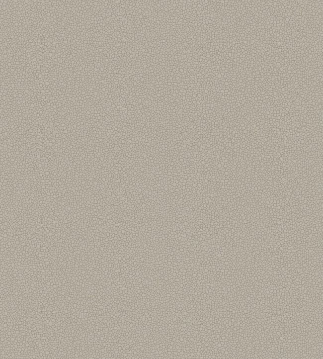 Pebble Wallpaper - Shell - 106/2016 - Cole & Son - Premier Wallcovering