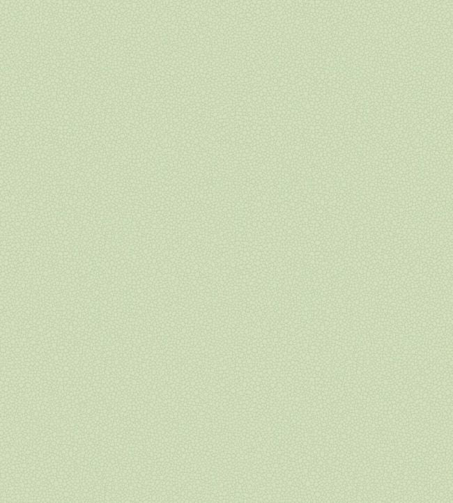 Pebble Wallpaper - Duck Egg - 106/2028 - Cole & Son - Premier Wallcovering