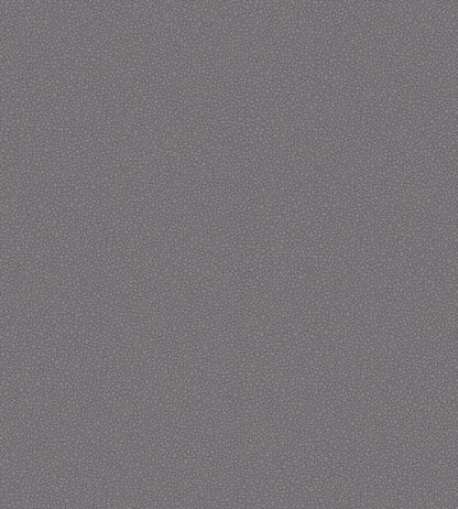 Pebble Wallpaper - Mink - 106/2015 - Cole & Son - Premier Wallcovering