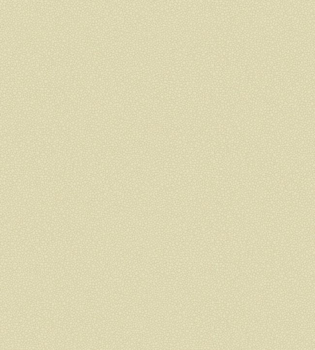 Pebble Wallpaper - Cream - 106/2023 - Cole & Son - Premier Wallcovering