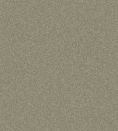 Pebble Wallpaper - Linen - 106/2020 - Cole & Son - Premier Wallcovering