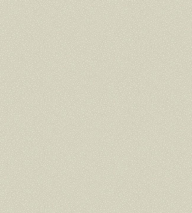 Pebble Wallpaper - Parchment - 106/2021 - Cole & Son - Premier Wallcovering