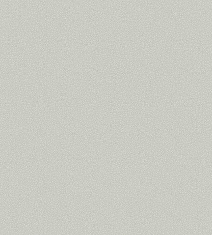 Pebble Wallpaper - Grey - 106/2017 - Cole & Son - Premier Wallcovering