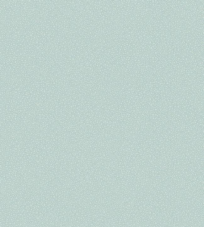Pebble Wallpaper - Seafoam - 106/2029 - Cole & Son - Premier Wallcovering