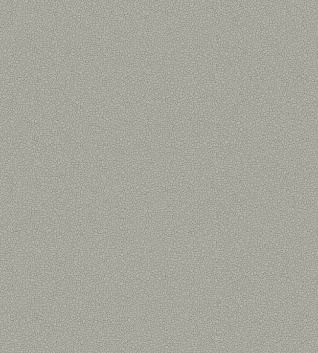 Pebble Wallpaper - Dark Grey - 106/2018 - Cole & Son - Premier Wallcovering
