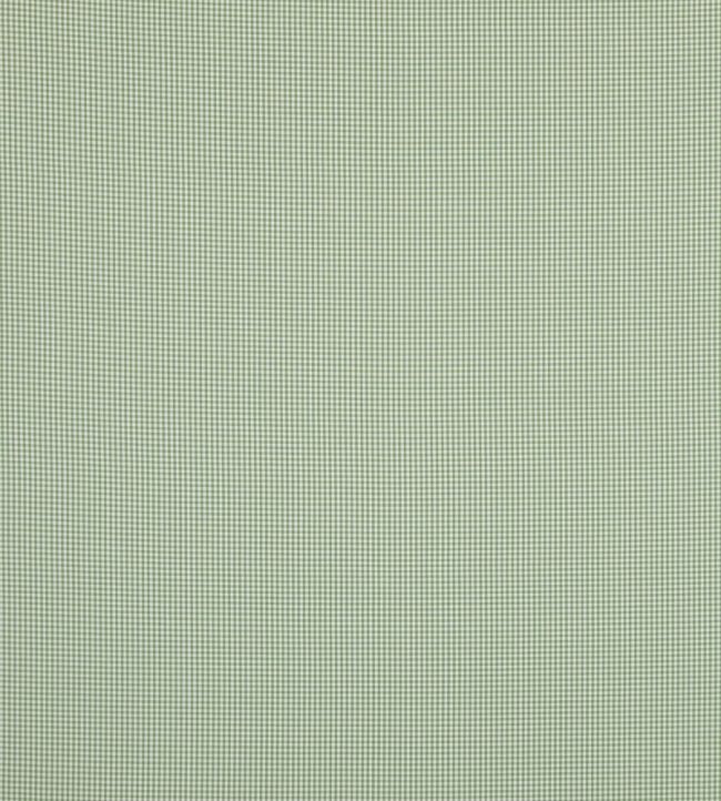 pf50506.735.0 - Sherborne Gingham Fabric - Green - Baker Lifestyle