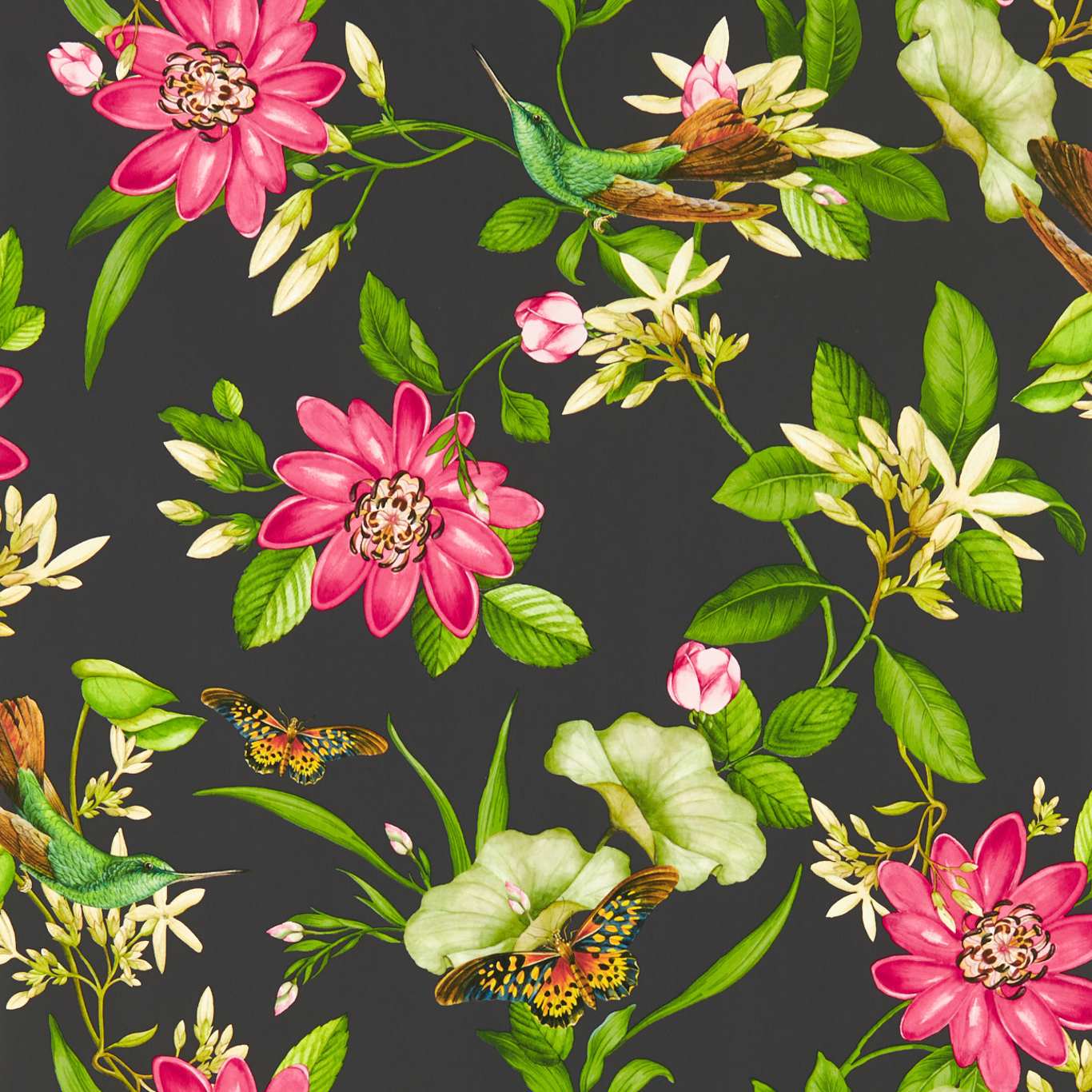 Pink Lotus Wallpaper - Noir - Clarke & Clarke - W0132/03 - Premier Wallcovering