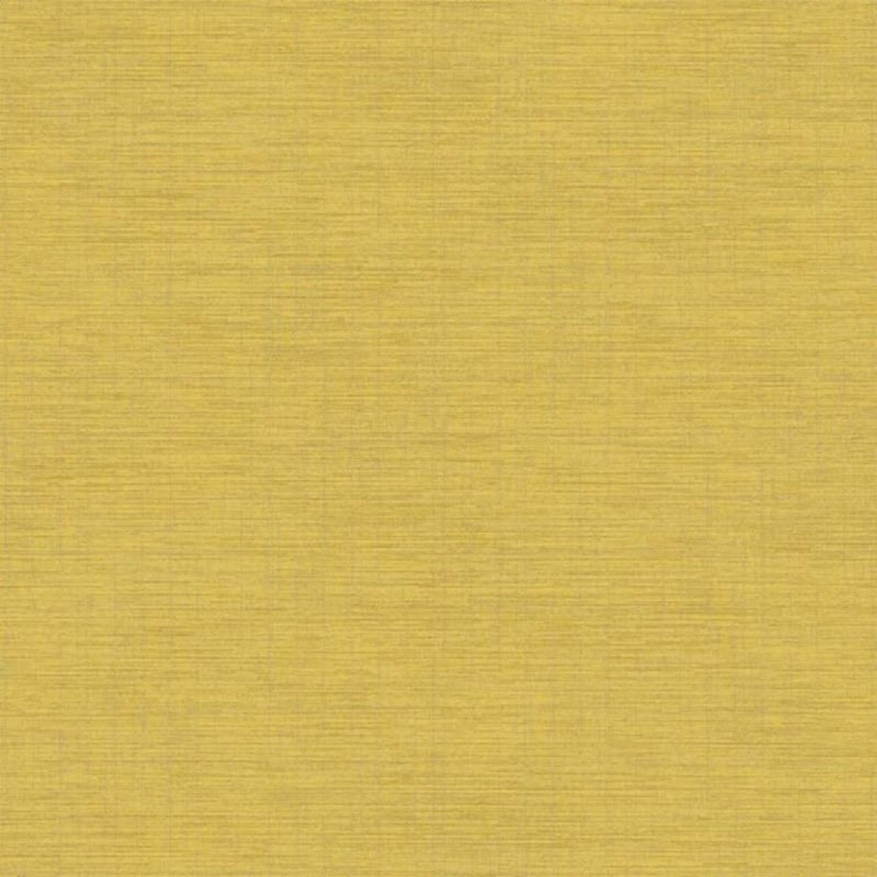 Plain Five O'Clock Wallpaper - Jaune Curry - Casadeco - 85842421 - Premier Wallcovering