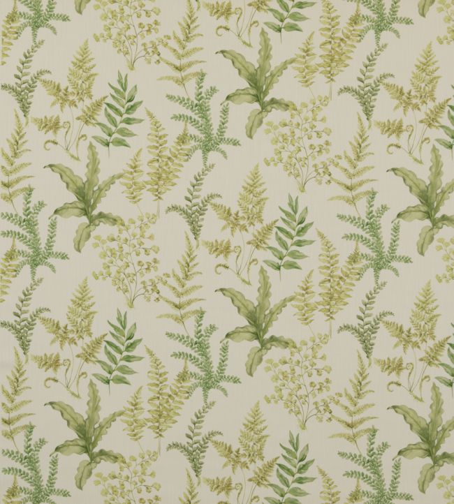 pp50503.3.0 - Ferndown Fabric - Green - Baker Lifestyle