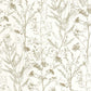 Prairie Sentier Des Dunes Wallpaper - Olive - Casadeco - 200957261 - Premier Wallcovering
