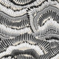 Prête Moi Ta Plume! Wallpaper - Jais - Christian Lacroix - PCL7033/03 - Premier Wallcovering