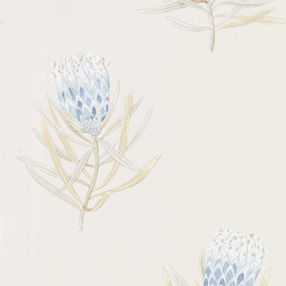 Protea Flower Wallpaper - China Blue/Canvas - Sanderson - DART216327