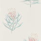 Protea Flower Wallpaper - Porcelain/Blush - Sanderson - DART216330