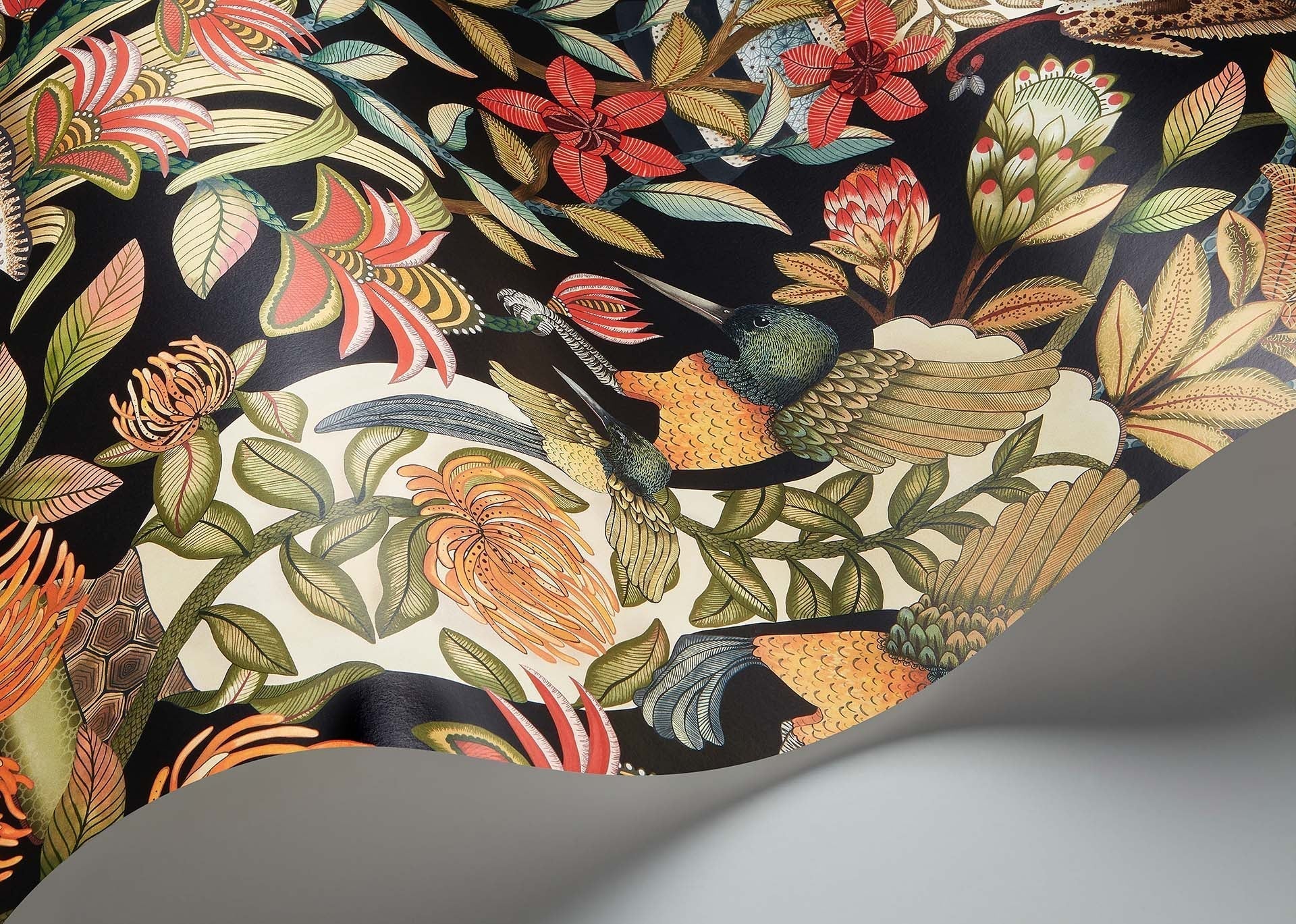 Protea Garden Wallpaper - Olive & Rouge on Black - 119/10044 - Cole & Son - Premier Wallcovering