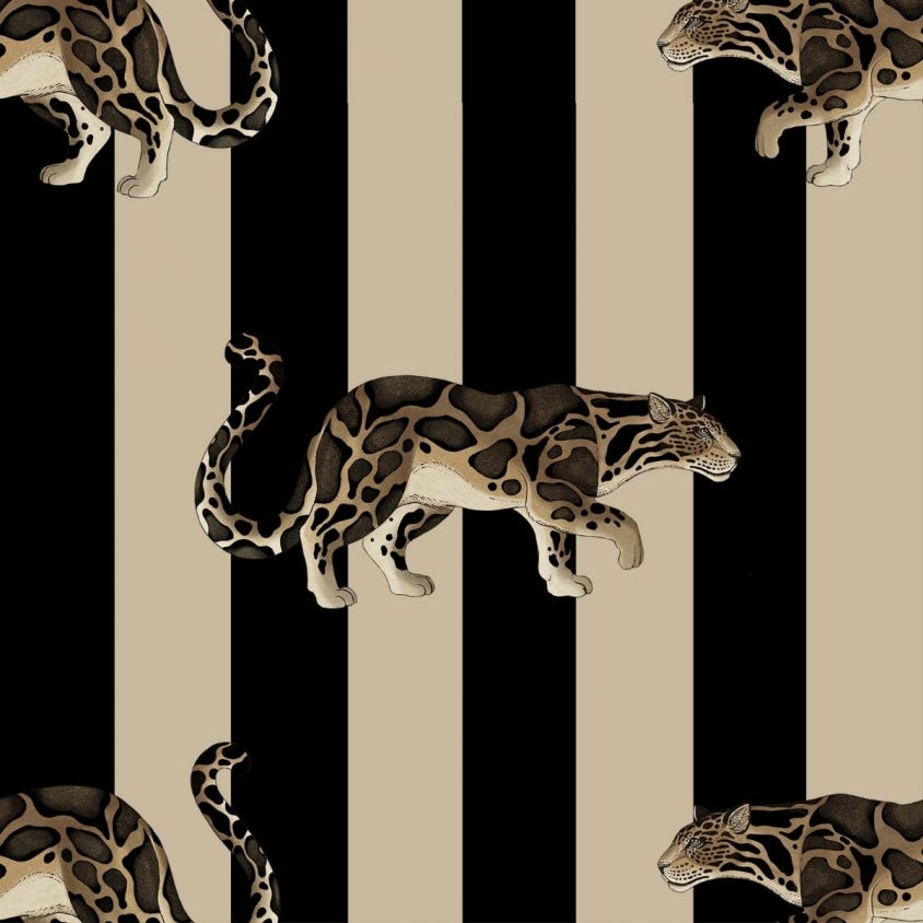 Prowl Wallpaper - House of Hackney - 1 - WA - PRO - DI - C&B - XXX