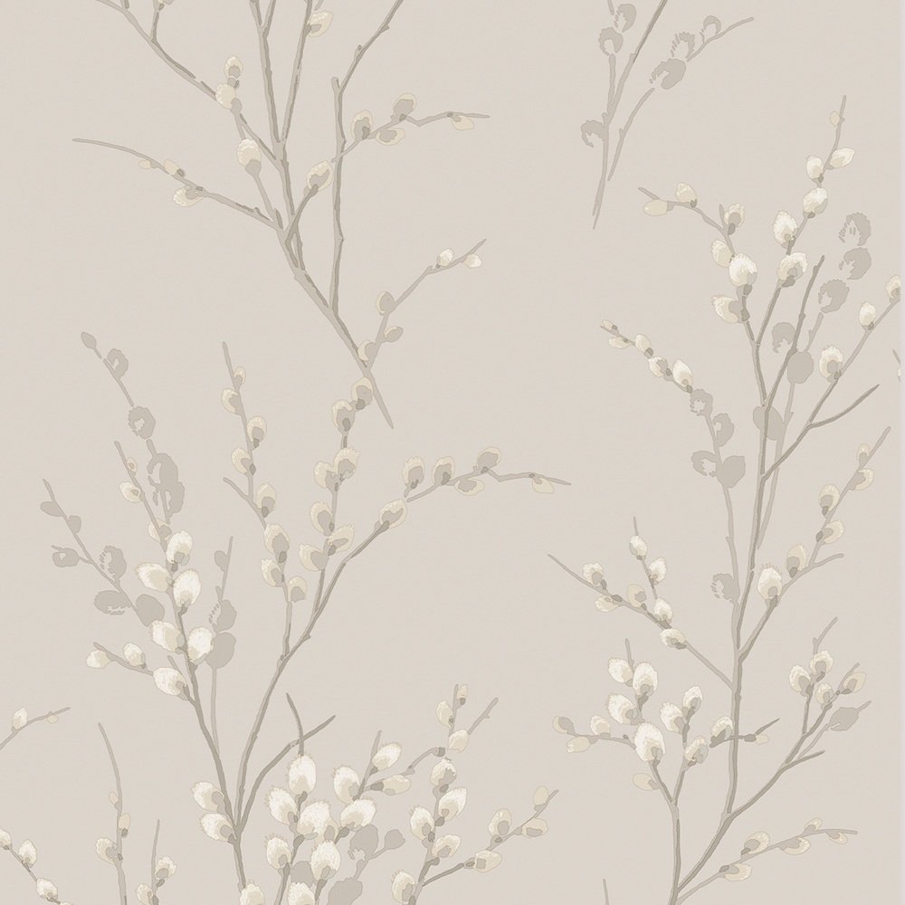 Pussy Willow Wallpaper - Dove Grey - Laura Ashley - 113361 - Premier Wallcovering