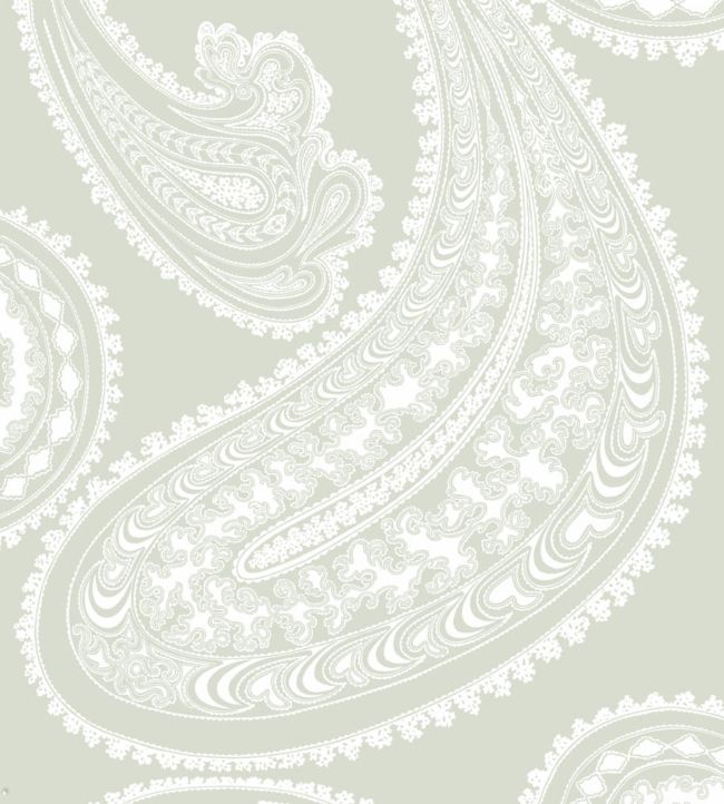Rajapur Wallpaper - Chalk on Soft Olive - 95/2063 - Cole & Son - Premier Wallcovering