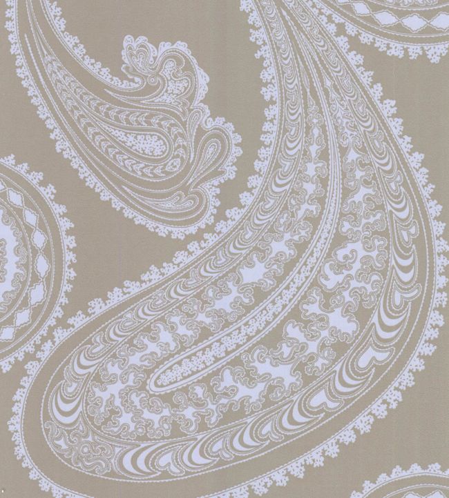 Rajapur Wallpaper - Silver Birch on Taupe - 66/5039 - Cole & Son - Premier Wallcovering