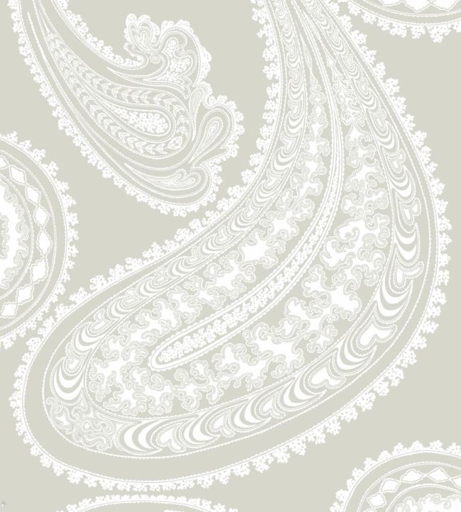 Rajapur Wallpaper - Chalk on Taupe - 95/2011 - Cole & Son - Premier Wallcovering