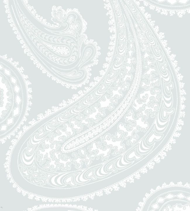 Rajapur Wallpaper - Chalk on Powder Blue - 95/2013 - Cole & Son - Premier Wallcovering