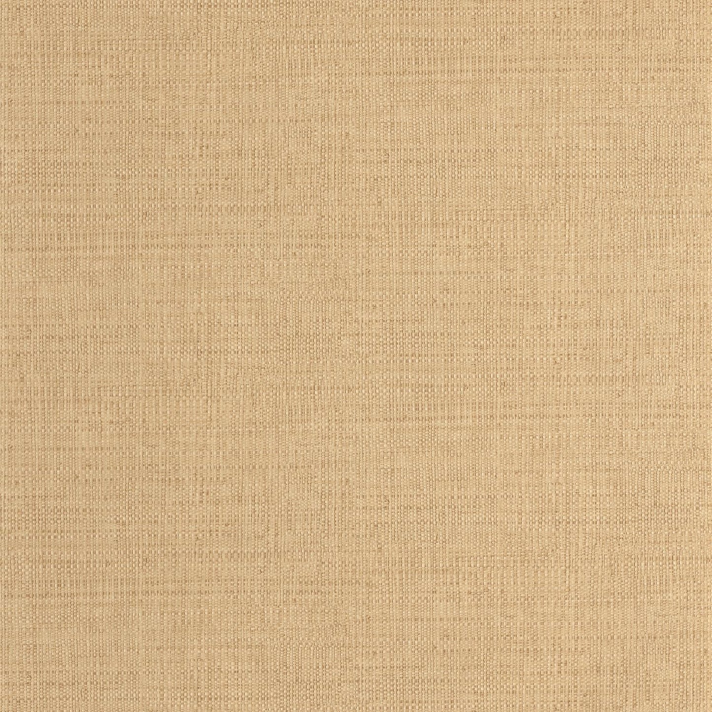 Raphia Wallpaper - Vanille - Caselio - 105971245