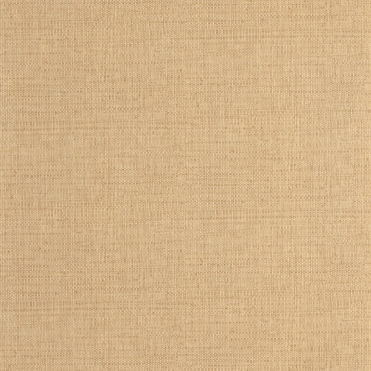 Raphia Wallpaper - Vanille - Caselio - 105971245