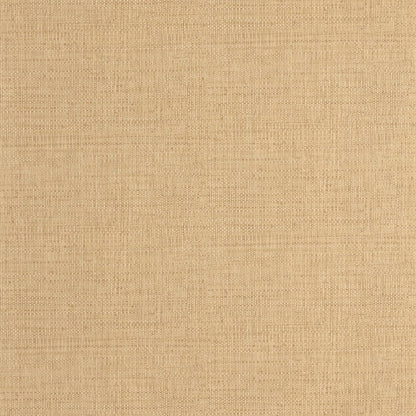 Raphia Wallpaper - Vanille - Caselio - 105971245