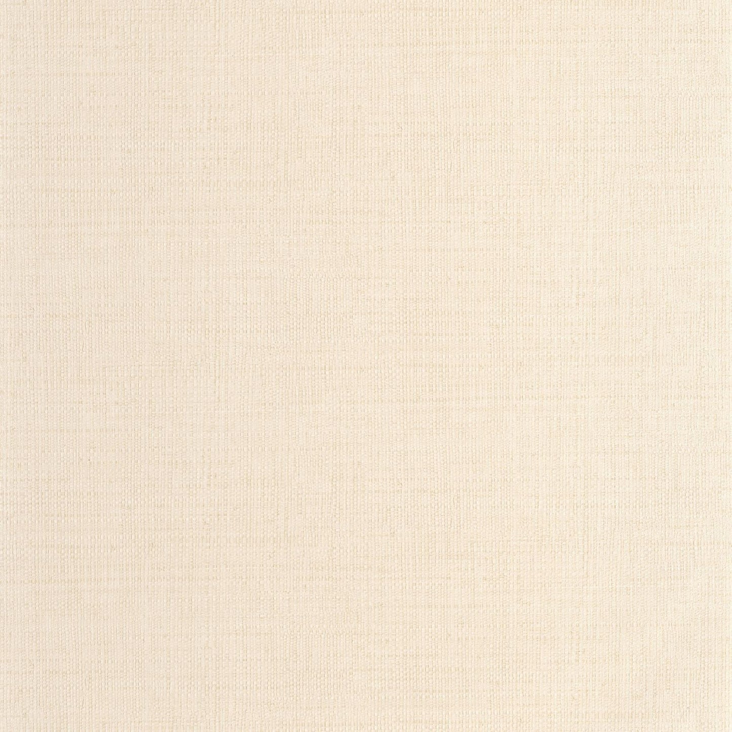 Raphia Wallpaper - Creme - Caselio - 105971000