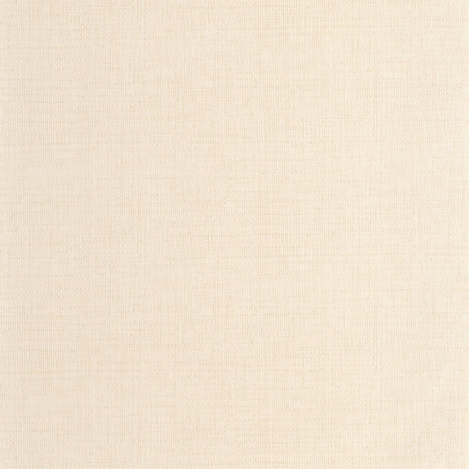 Raphia Wallpaper - Creme - Caselio - 105971000