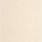 Raphia Wallpaper - Creme - Caselio - 105971000