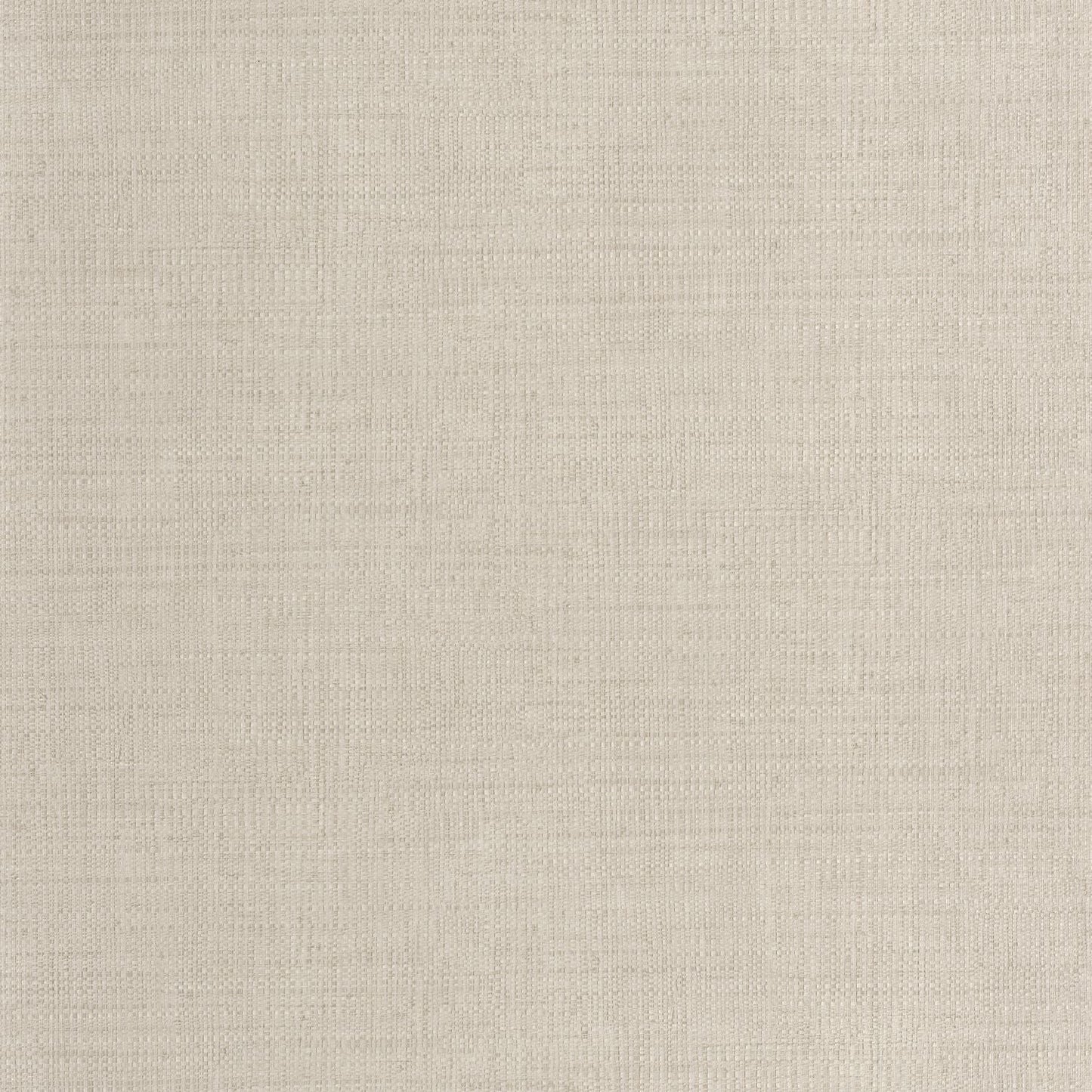 Raphia Wallpaper - Taupe - Caselio - 105971664