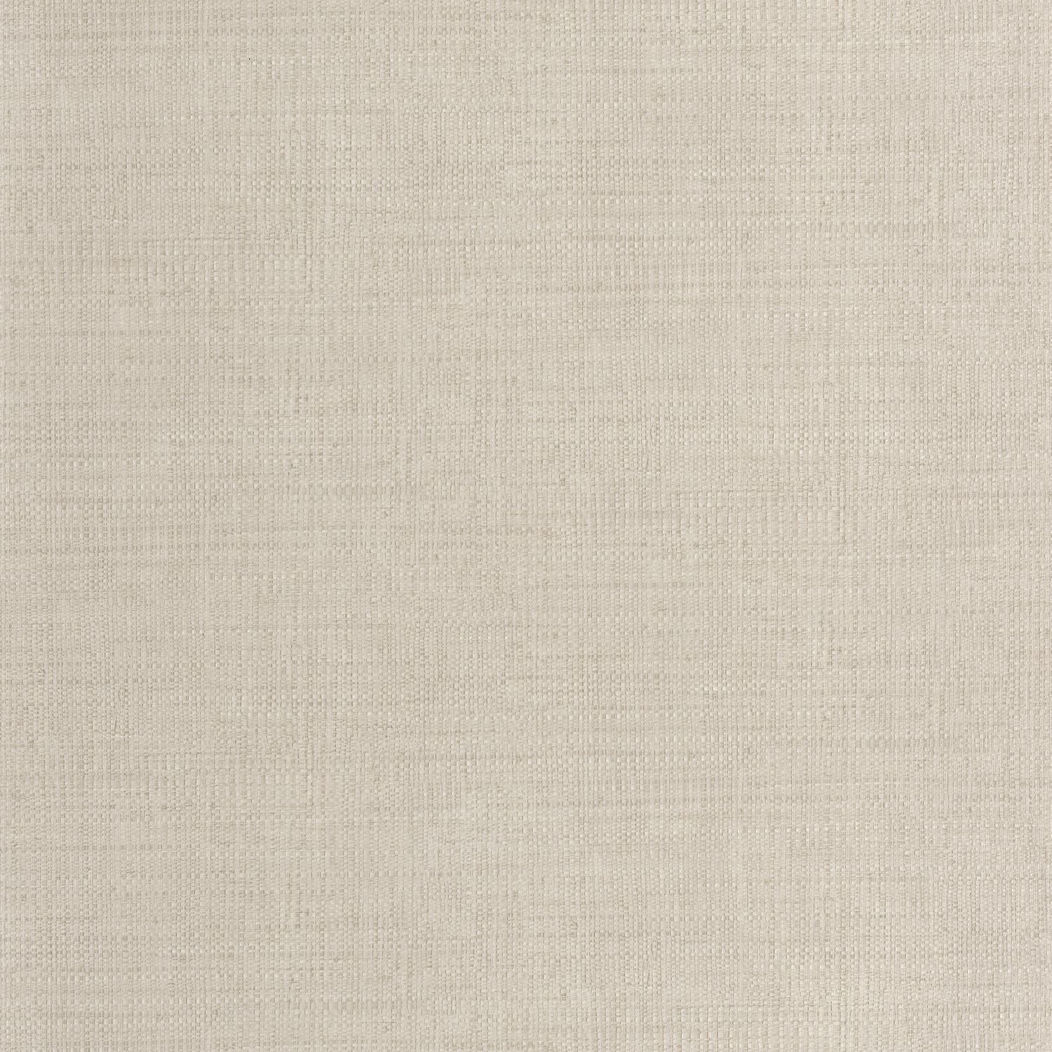 Raphia Wallpaper - Taupe - Caselio - 105971664