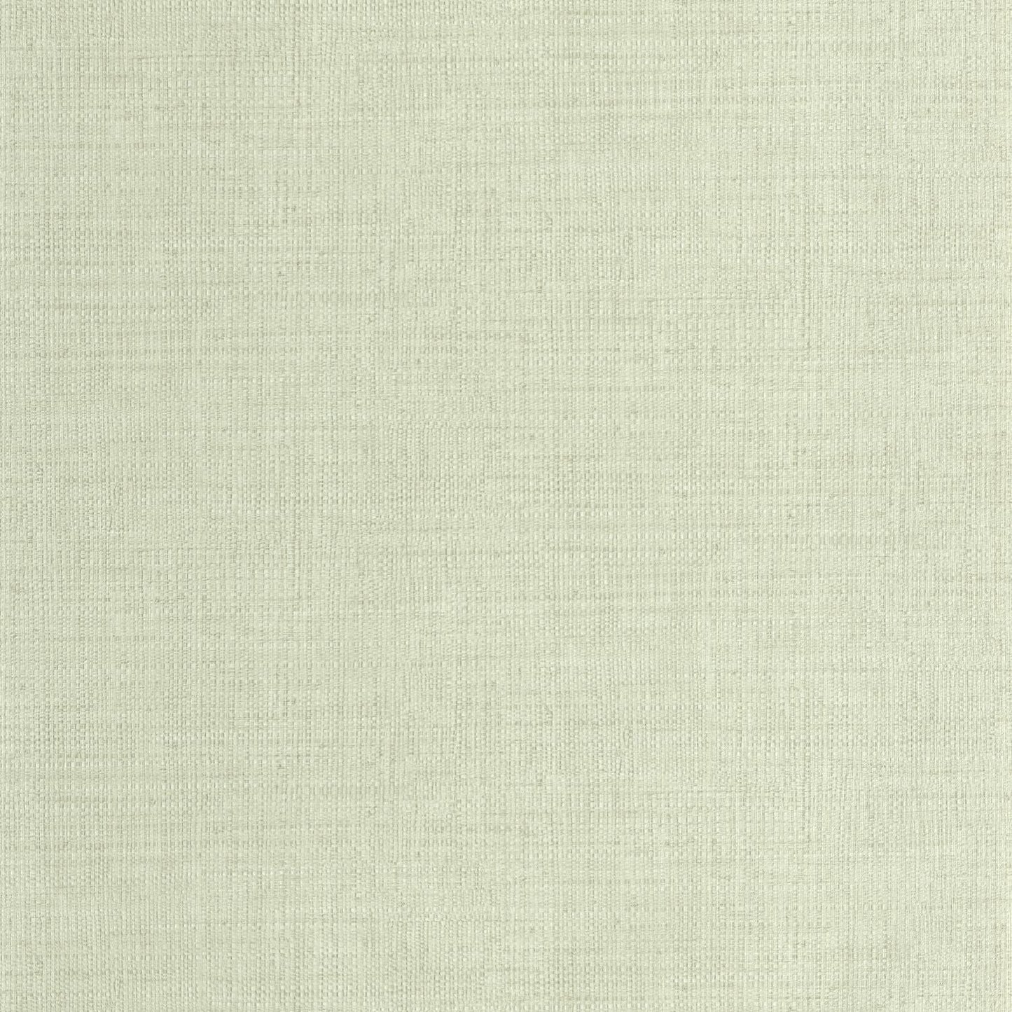 Raphia Wallpaper - Vert D'eau - Caselio - 105977000