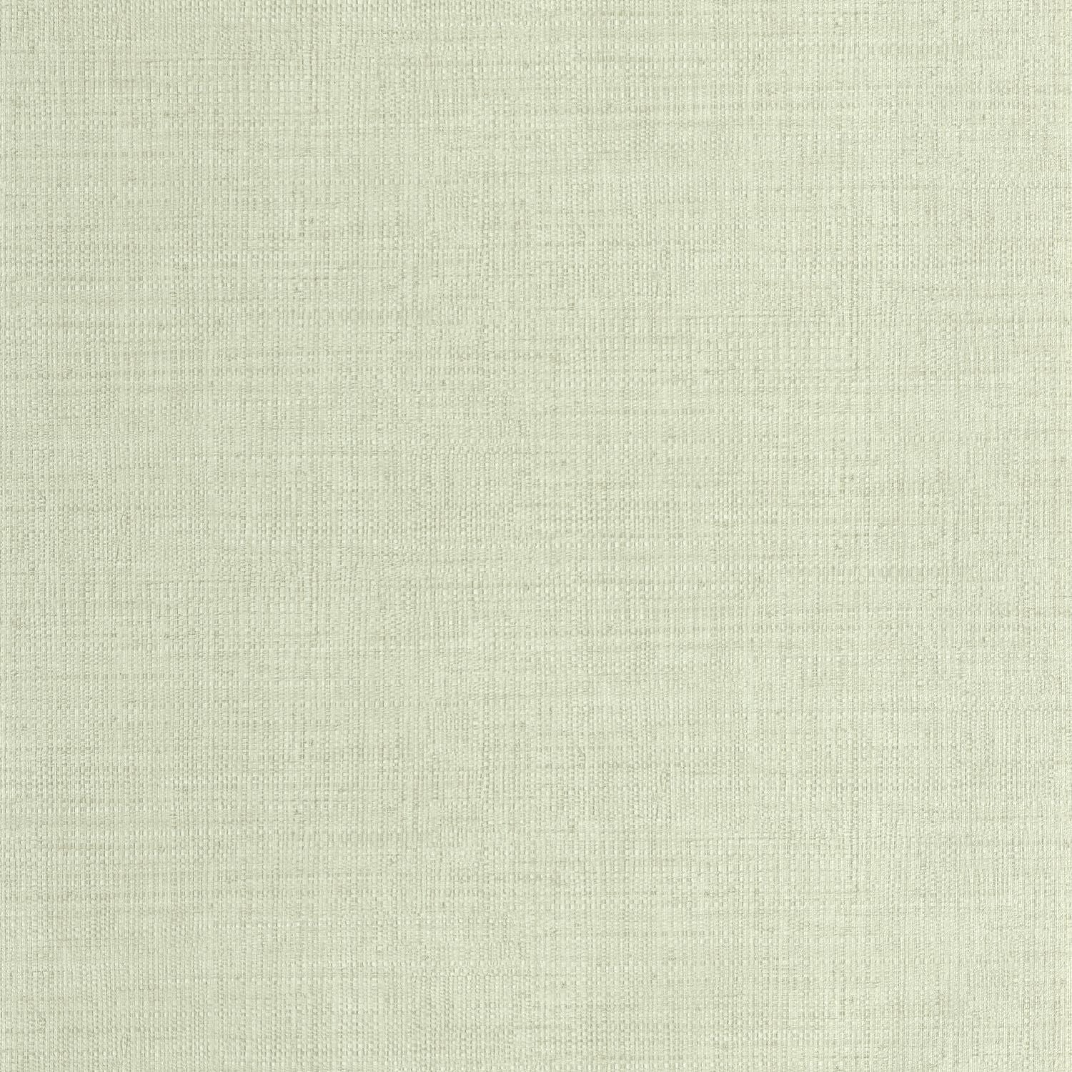 Raphia Wallpaper - Vert D'eau - Caselio - 105977000