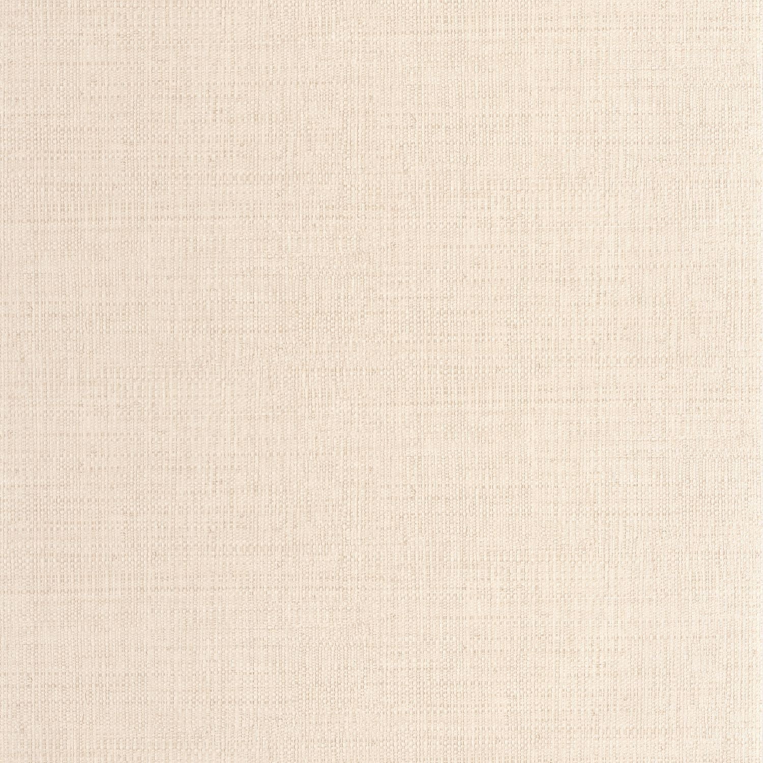 Raphia Wallpaper - Taupe - Caselio - 105971522