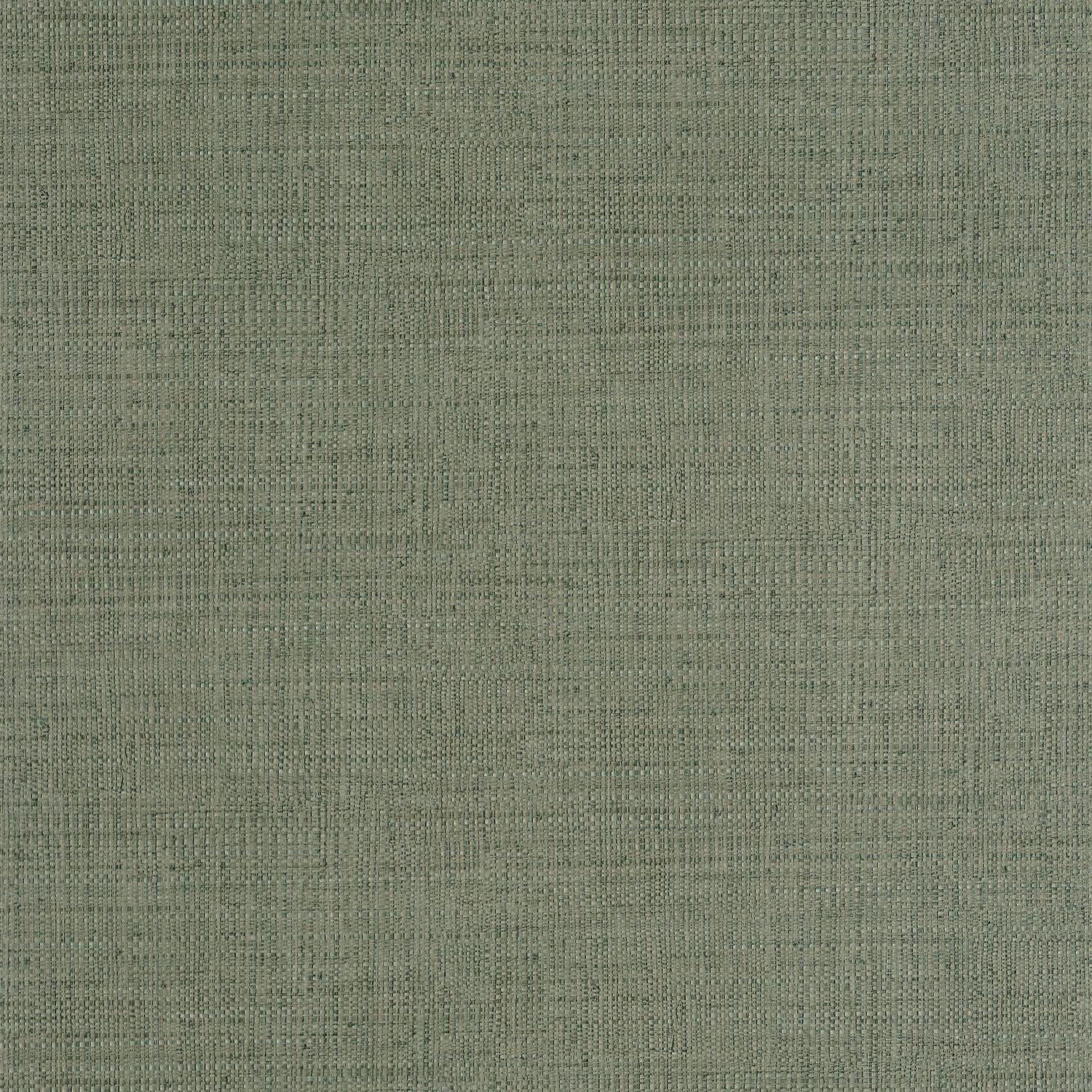 Raphia Wallpaper - Vert Mousse - Caselio - 105977206