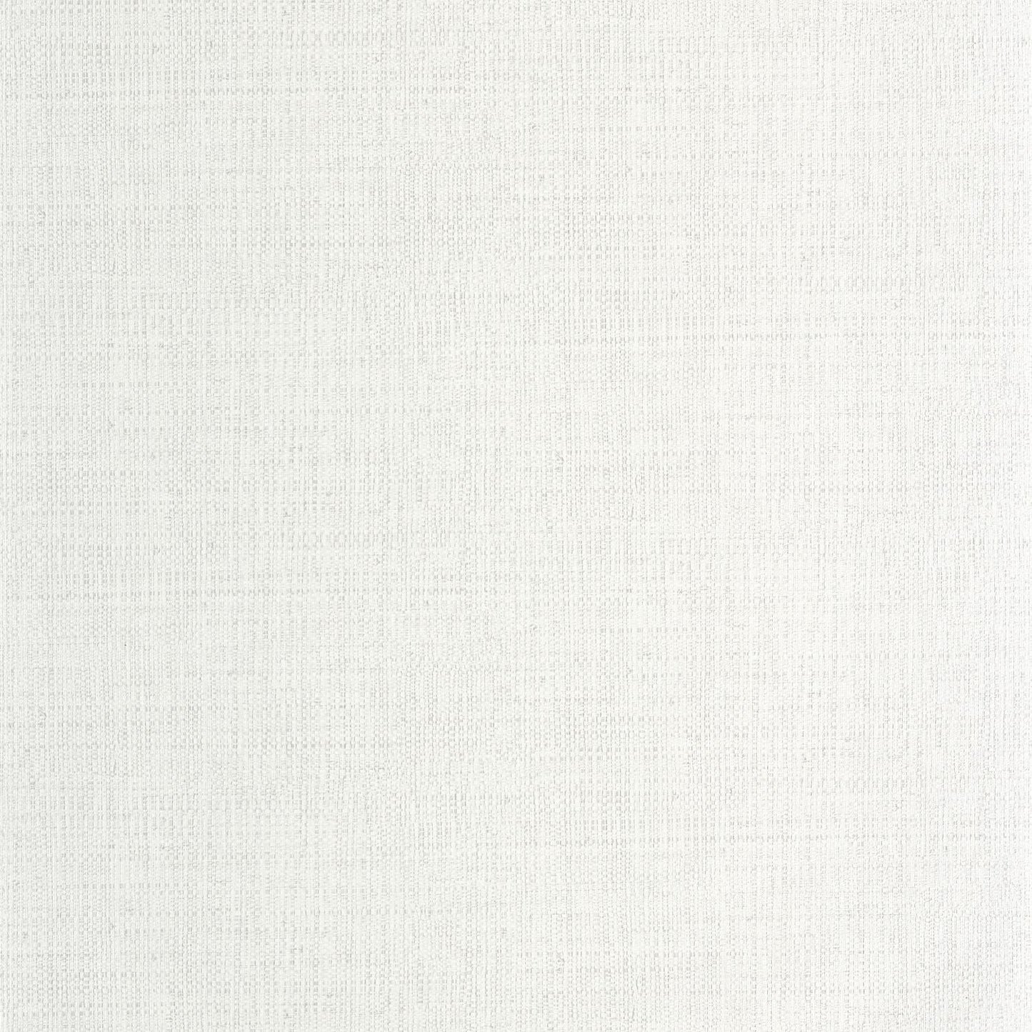 Raphia Wallpaper - Neige - Caselio - 105970155