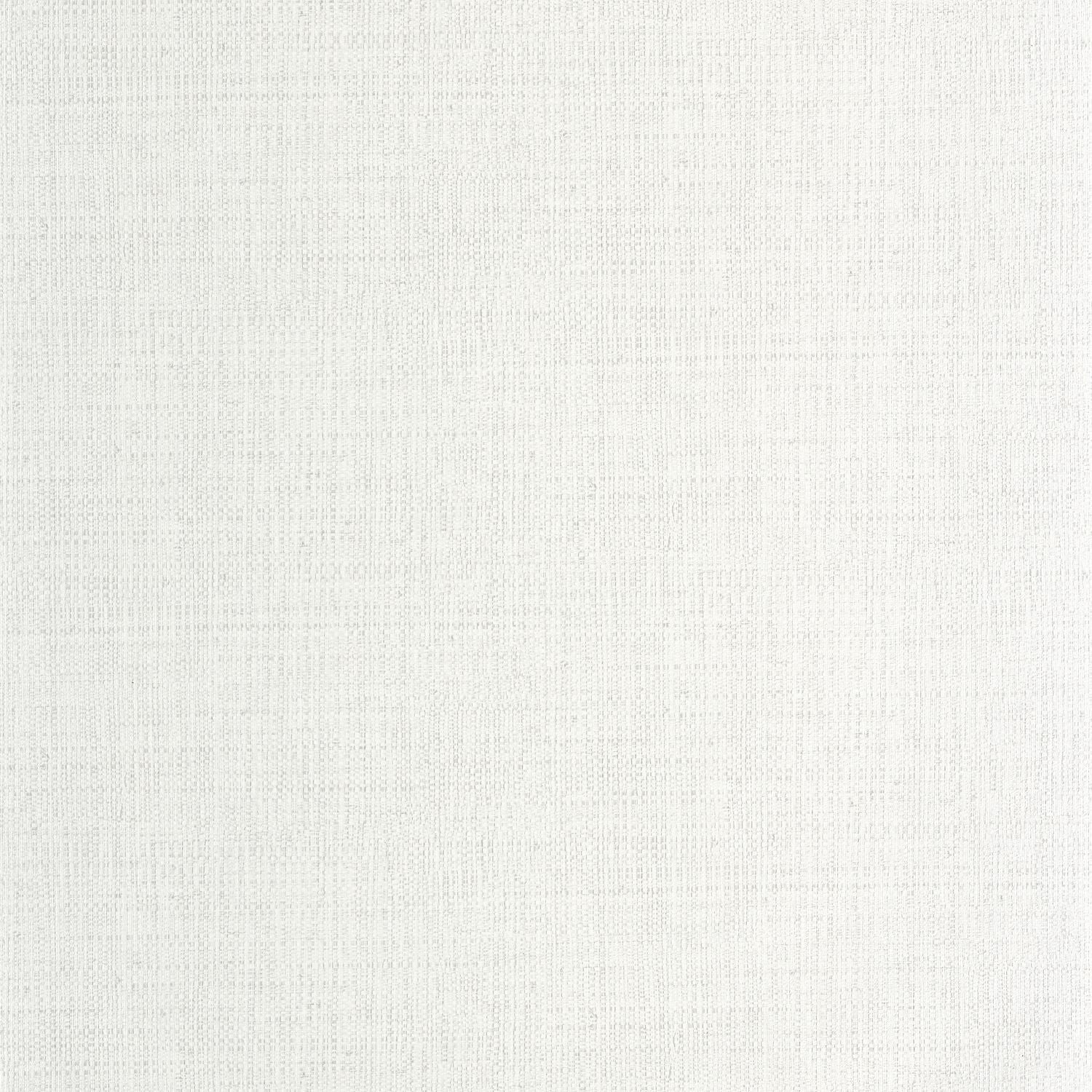 Raphia Wallpaper - Neige - Caselio - 105970155