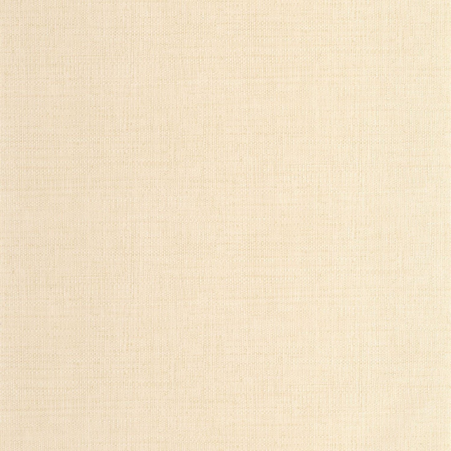 Raphia Wallpaper - Beige - Caselio - 105971150