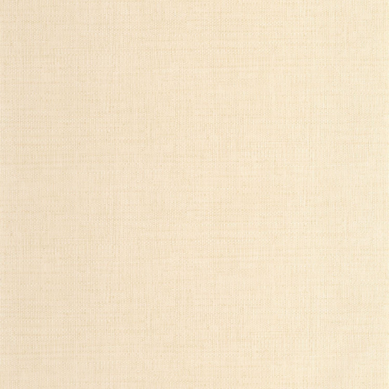Raphia Wallpaper - Beige - Caselio - 105971150