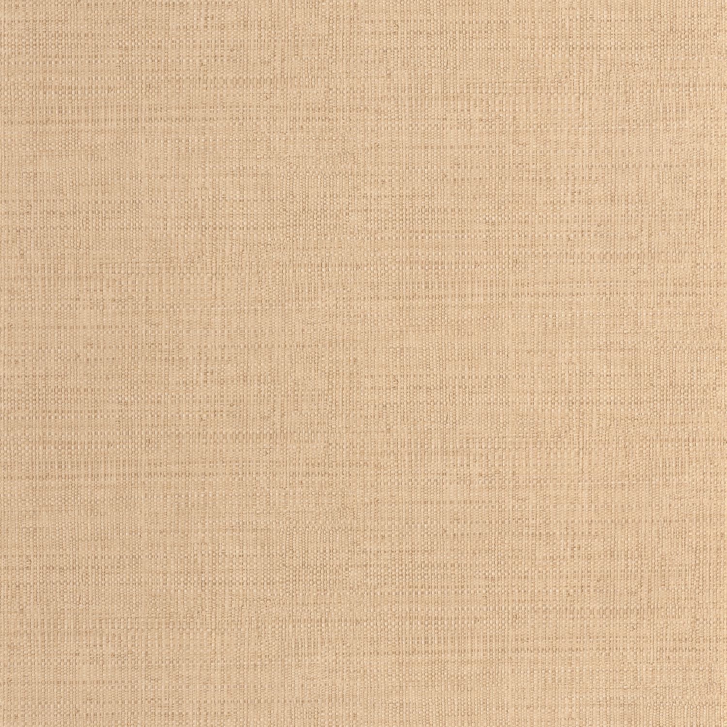 Raphia Wallpaper - Cannelle - Caselio - 105971380