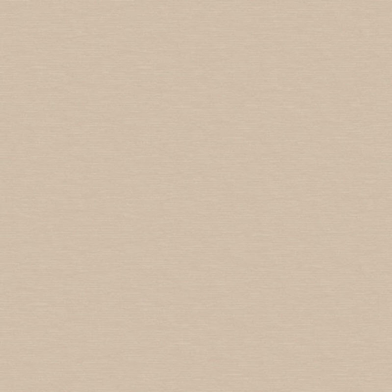 Rendes-vous Uni Wallpaper - Taupe Irise - Casadeco - 29011403 - Premier Wallcovering