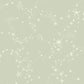 Resan Star Wallpaper - Green - Galerie - Resan - 29021 - Premier Wallcovering