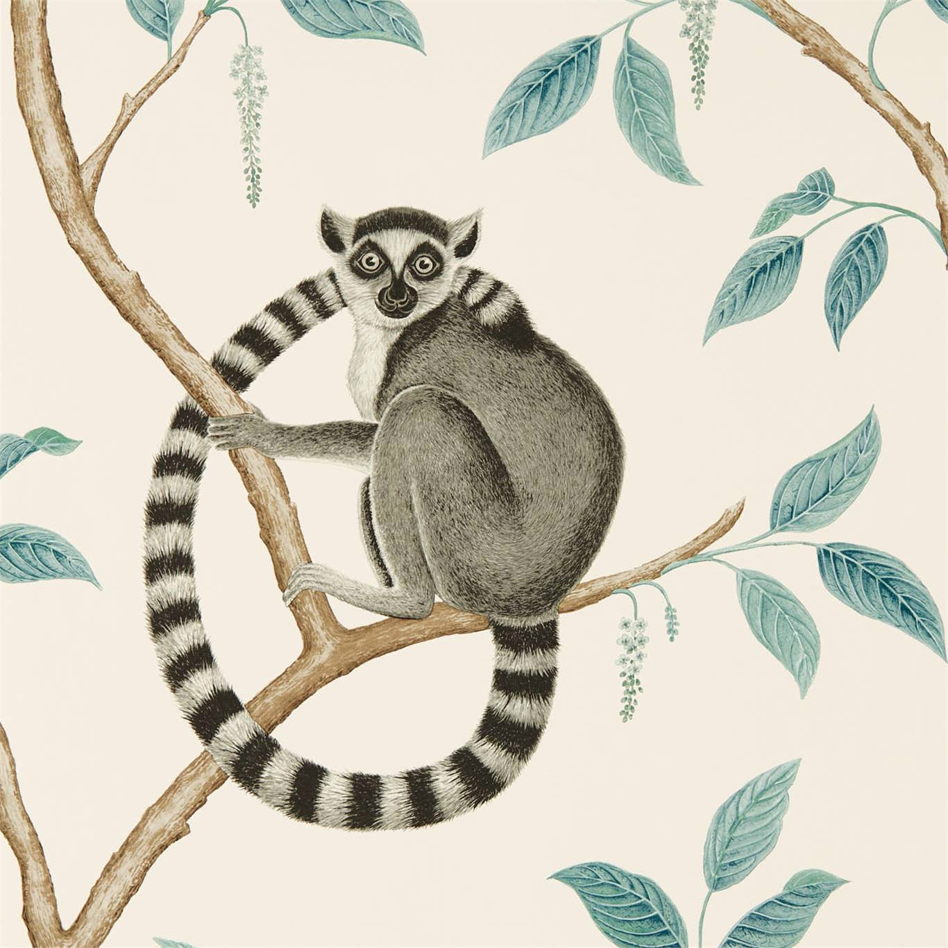 Ringtailed Lemur Wallpaper - Stone/Eucalyptus - Sanderson - DGLW216665